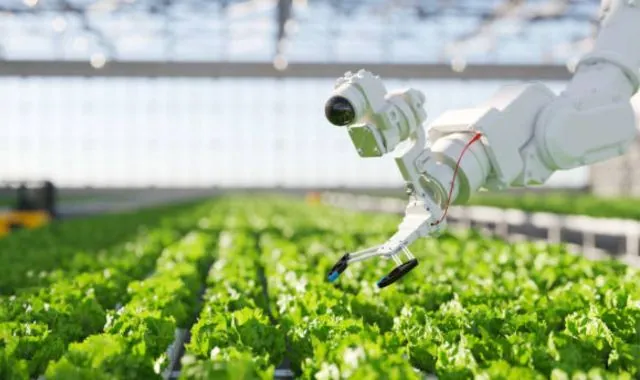 Ag-Technologies-Revolutionizing-Farming-for-a-Sustainable